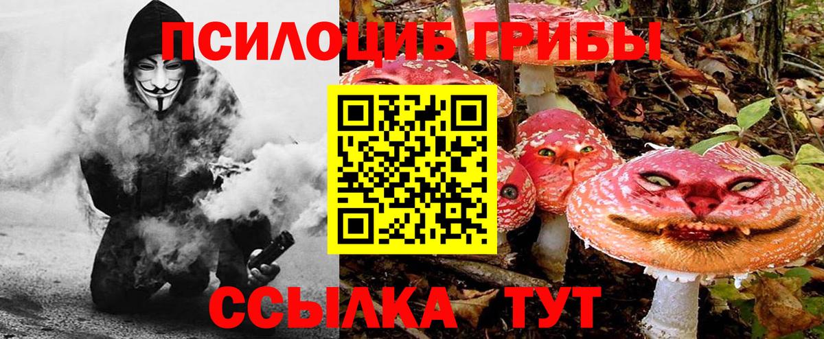 Сертолово  Галлюциногенные грибы MAGIC MUSHROOMS  Вход с VPN  Псилоцибиновые грибы GOLDEN TEACHER 