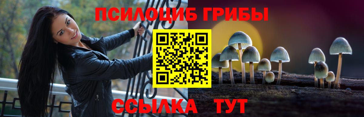 Псилоцибиновые грибы Psilocybine cubensis Сертолово