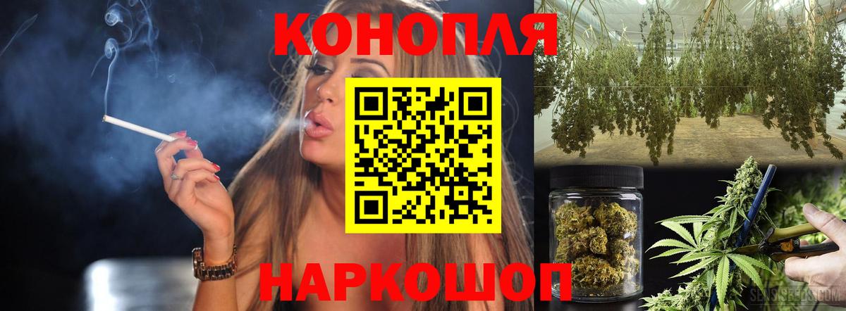 Бошки марихуана конопля Сертолово
